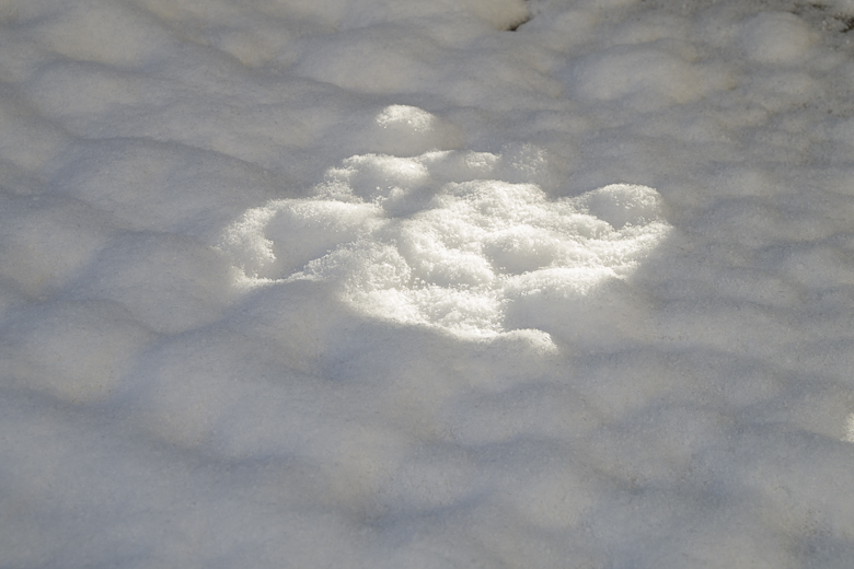 Lichtfleck auf Schnee